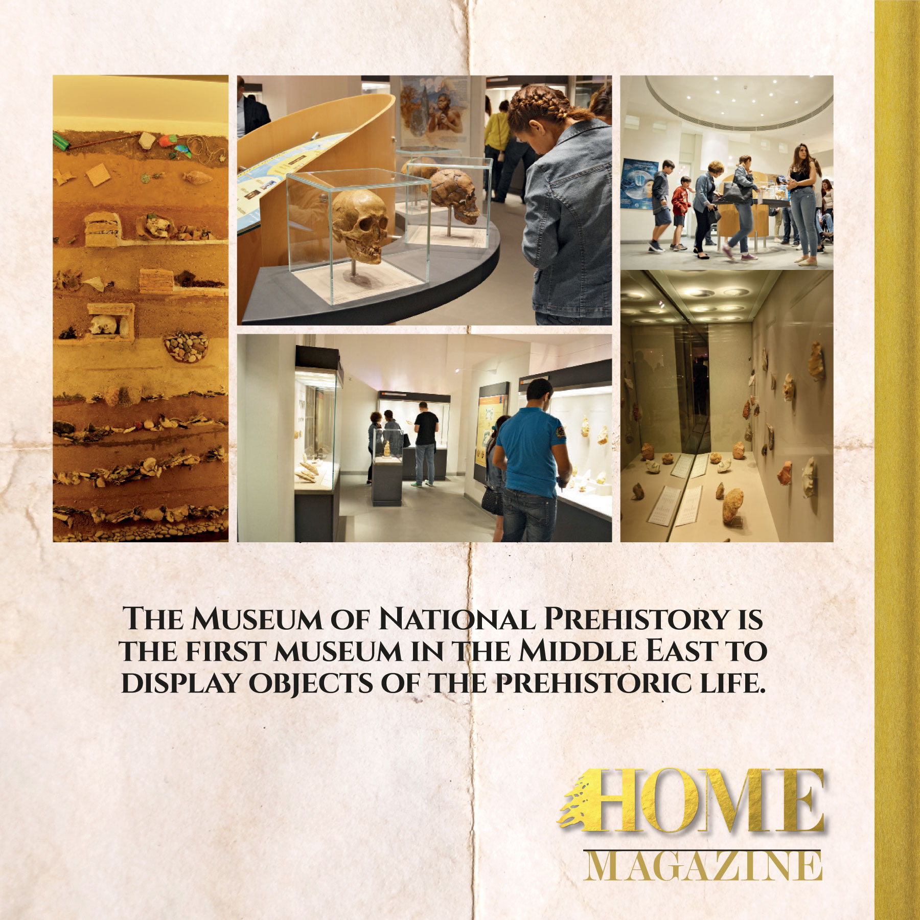 "The museum of natural prehistory is the first museum in the middle east to display objects of the prehistoric life."