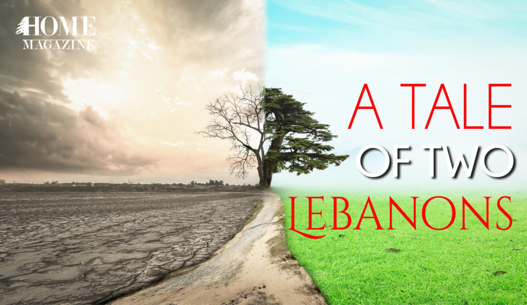 a tale of two lebanons with a tree one in a bad condition and the other part in a greenery and sunny condition