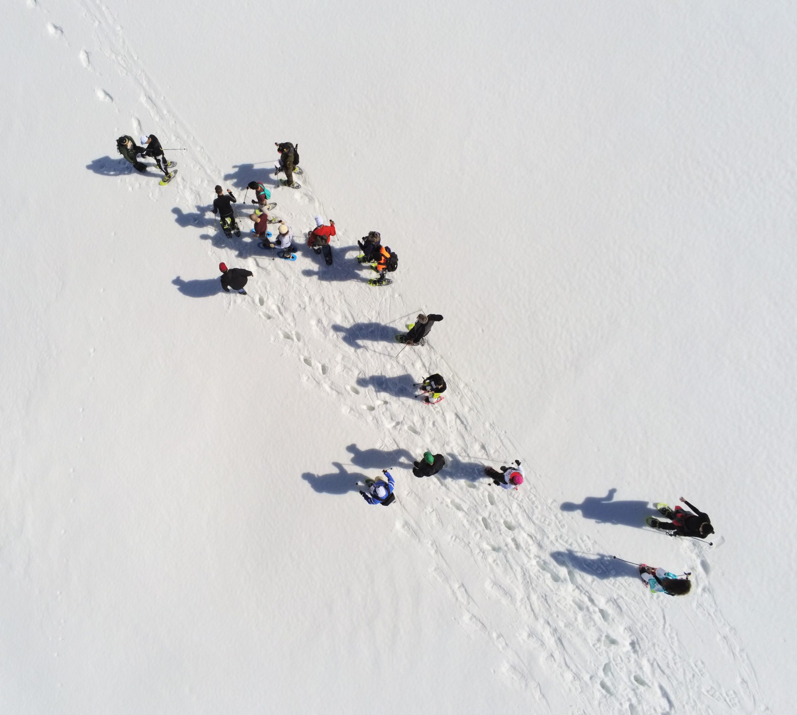 Group of people on snow